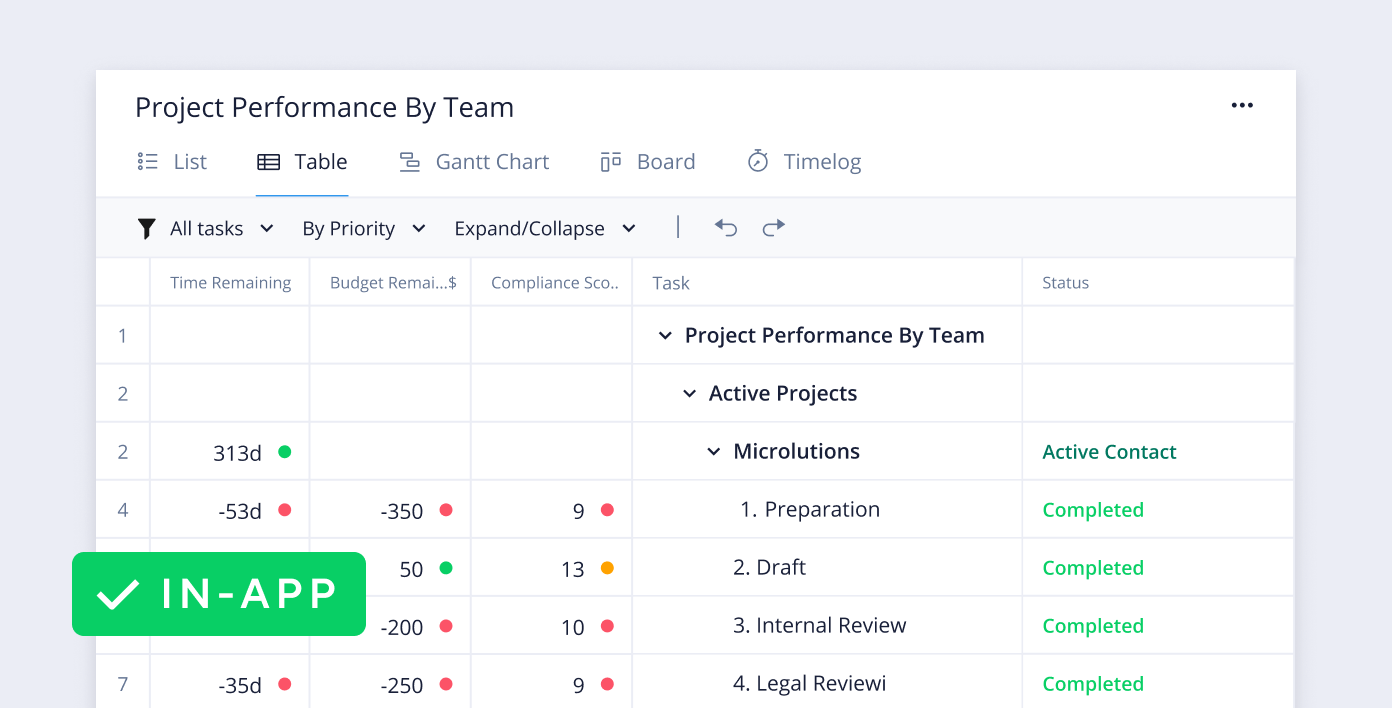 Project performance template